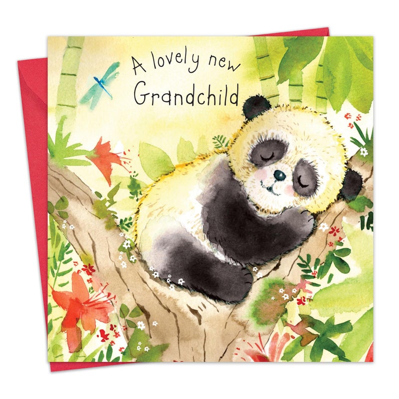 Twizler New Grandchild Greeting Card - Baby Panda - First Time Grandma, Grandpa, Grandparents Card - Congratulations Card - Unisex-Adults - Image 1